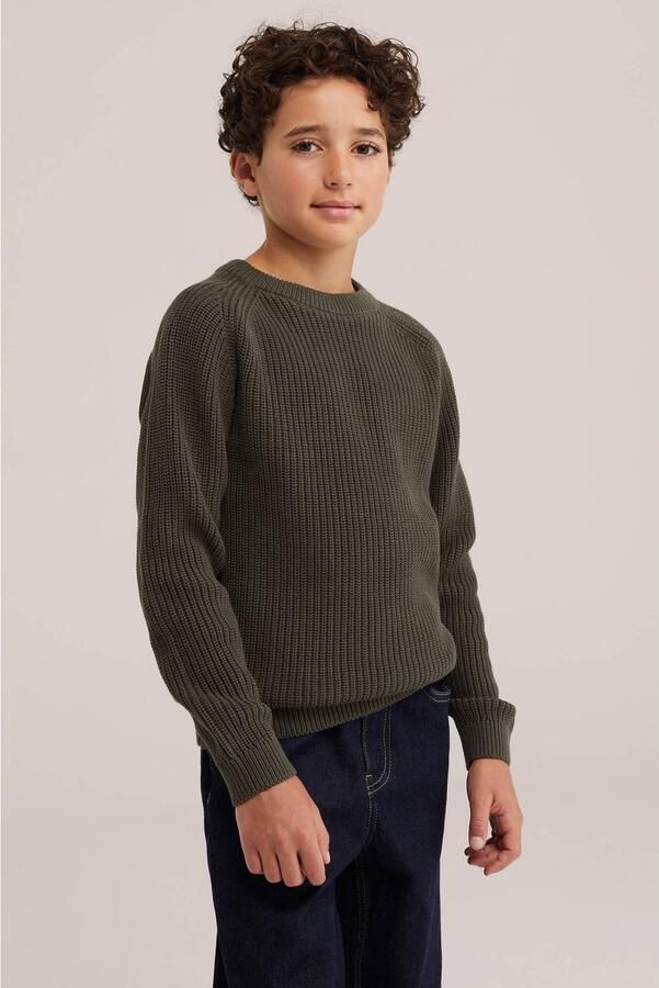 WE Fashion katoenen gebreide trui olijfgroen