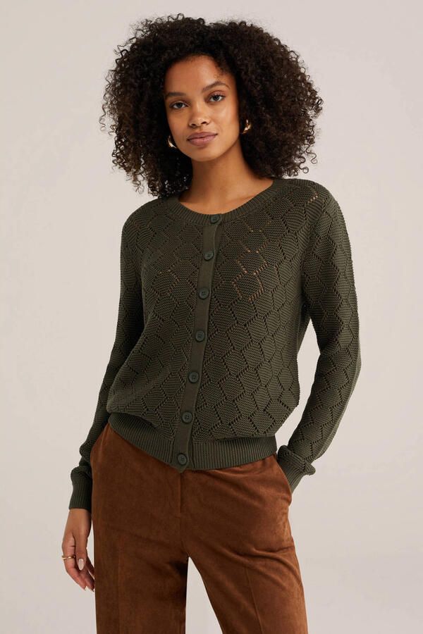 WE Fashion katoenen gebreide vest groen