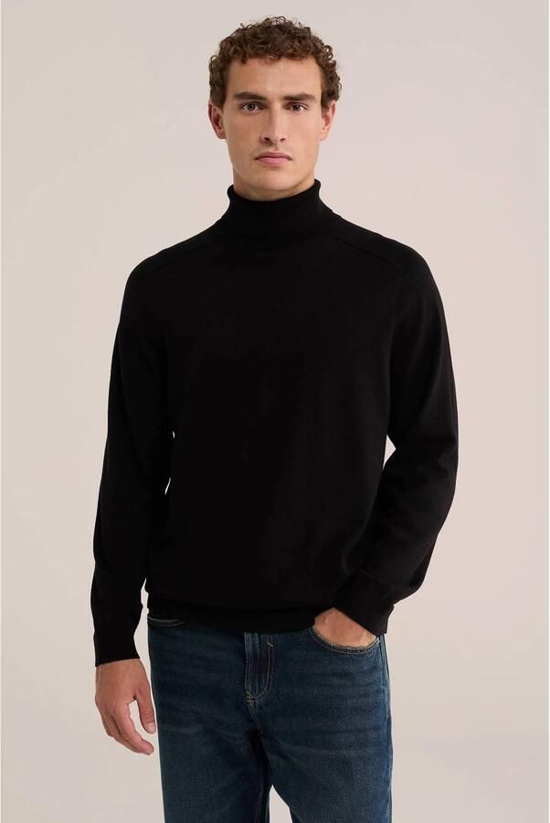 WE Fashion katoenen regular fit gebreide coltrui black uni