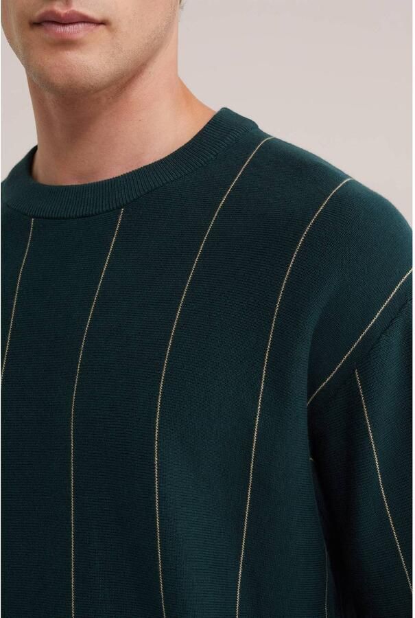 WE Fashion katoenen regular fit gebreide gestreepte trui groen - Foto 2