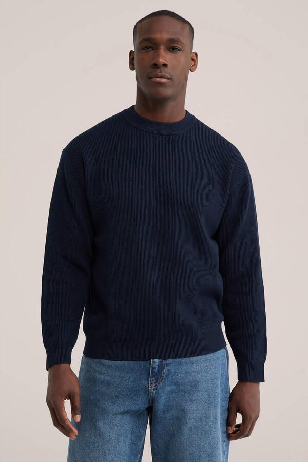 WE Fashion katoenen regular fit gebreide trui blauw