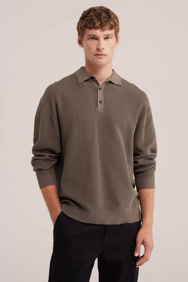 WE Fashion katoenen regular fit gebreide trui bruin