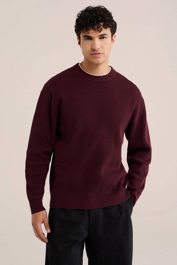 WE Fashion katoenen regular fit gebreide trui umberwine