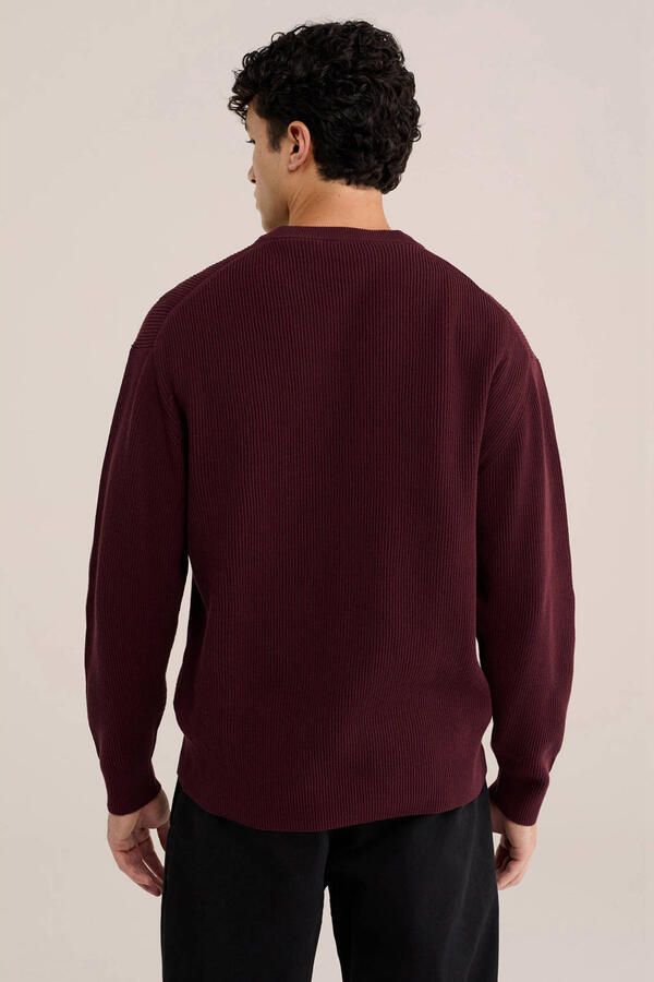WE Fashion katoenen regular fit gebreide trui umberwine - Foto 3