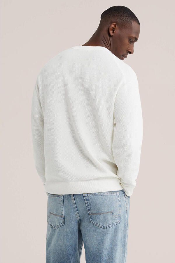 WE Fashion katoenen regular fit gebreide trui wit - Foto 3