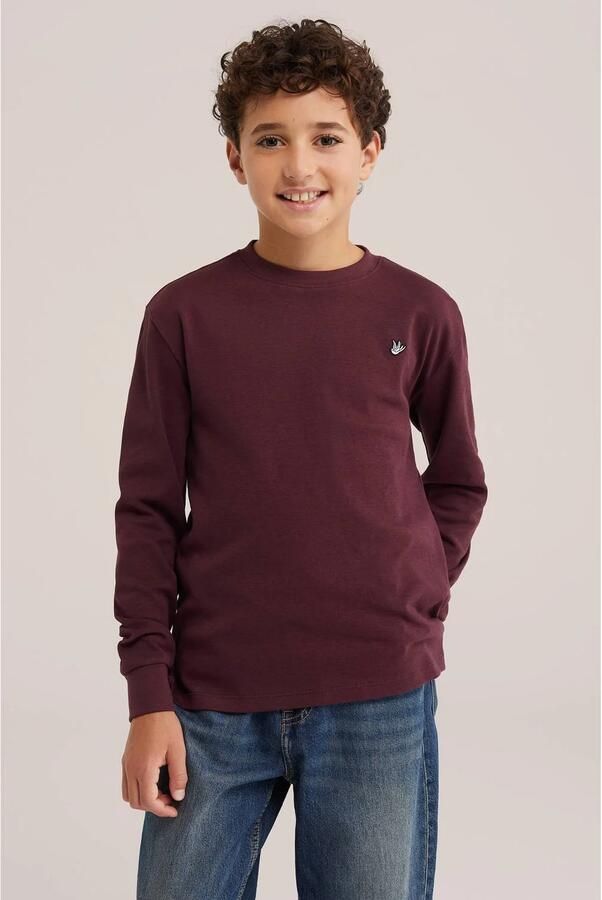 WE Fashion longsleeve donkerrood Jongens Katoen Ronde hals Effen
