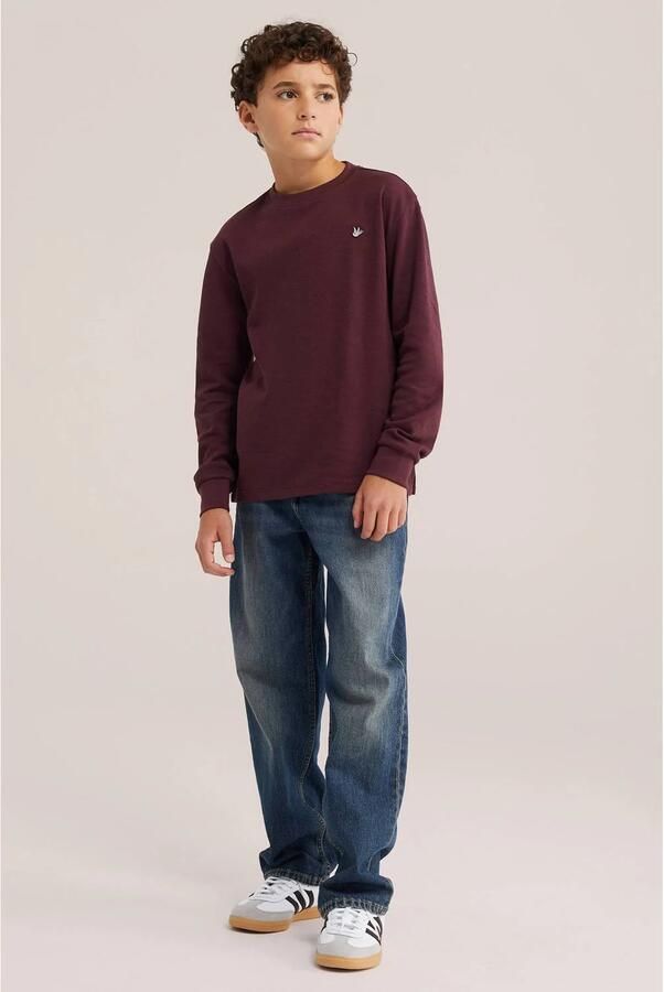 WE Fashion longsleeve donkerrood Jongens Katoen Ronde hals Effen - Foto 2