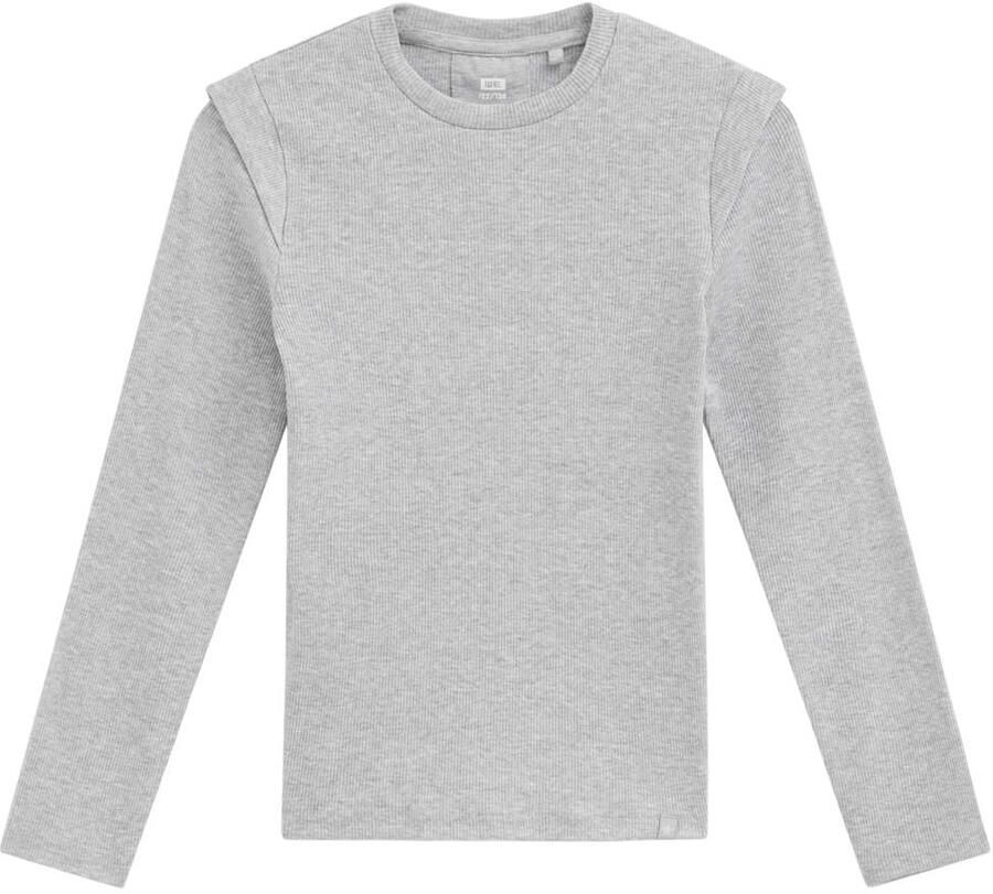 WE Fashion longsleeve grijs