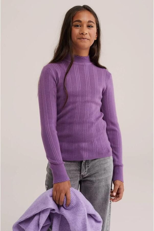 WE Fashion longsleeve paars Meisjes Viscose Opstaande kraag Effen