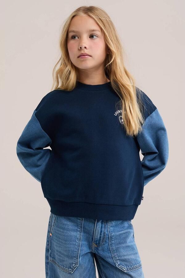 WE Fashion oversized sweater met ruches blauw Meisjes Katoen Ronde hals