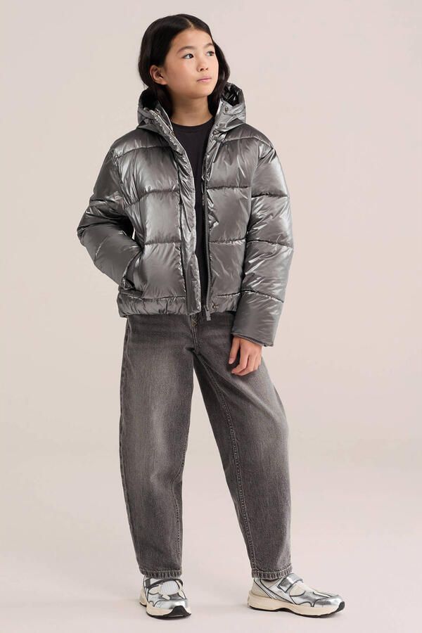 WE Fashion quilted gewatteerde jas zilver
