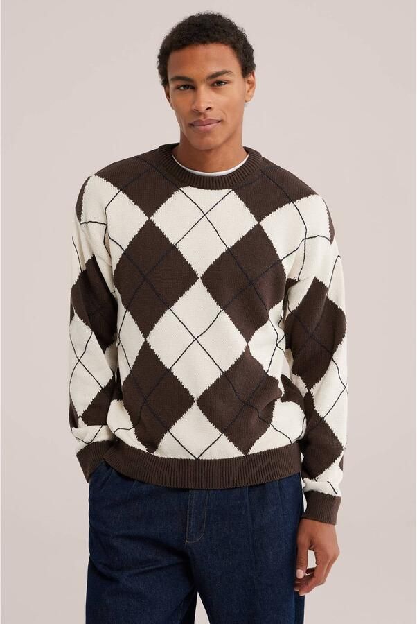WE Fashion regular fit gebreide geruite trui bruin