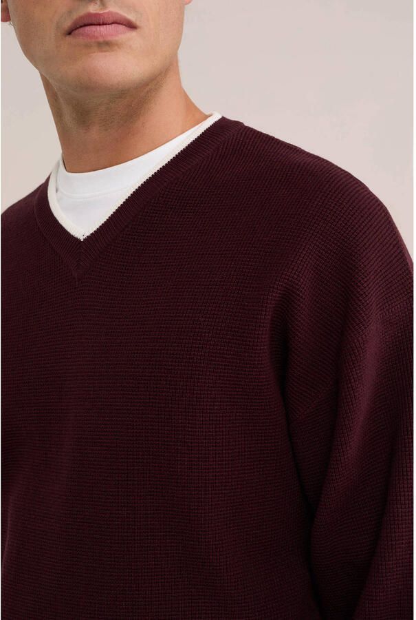 WE Fashion regular fit gebreide gestreepte trui donkerrood - Foto 2