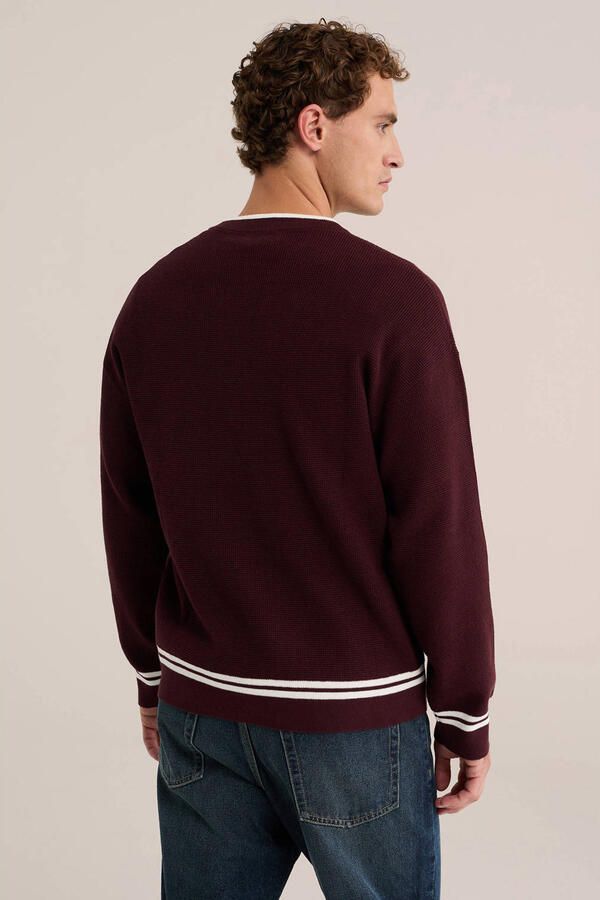 WE Fashion regular fit gebreide gestreepte trui donkerrood - Foto 3