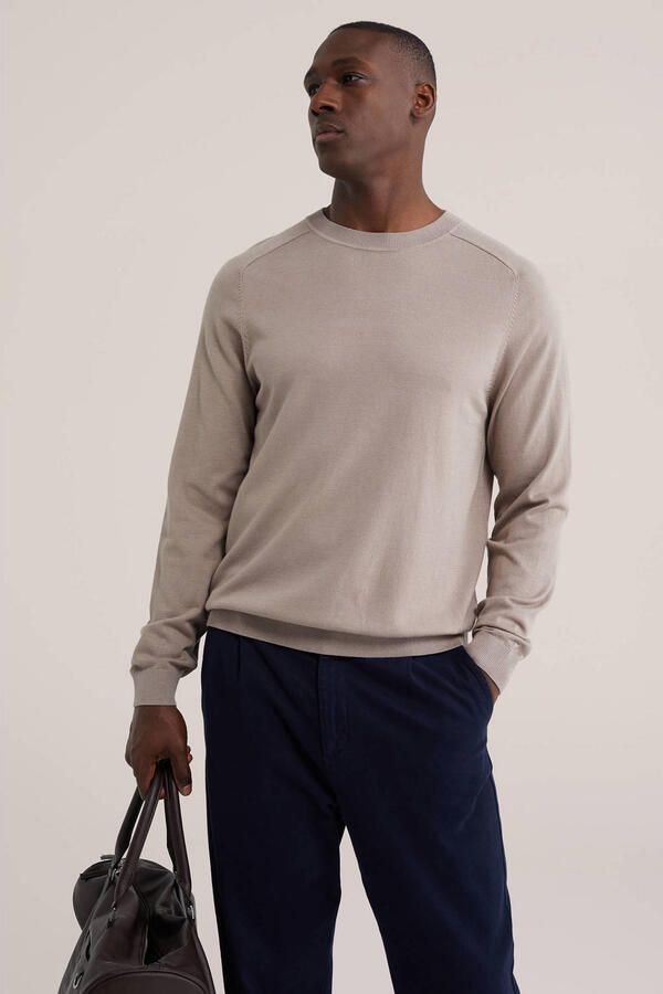 WE Fashion regular fit gebreide trui beige