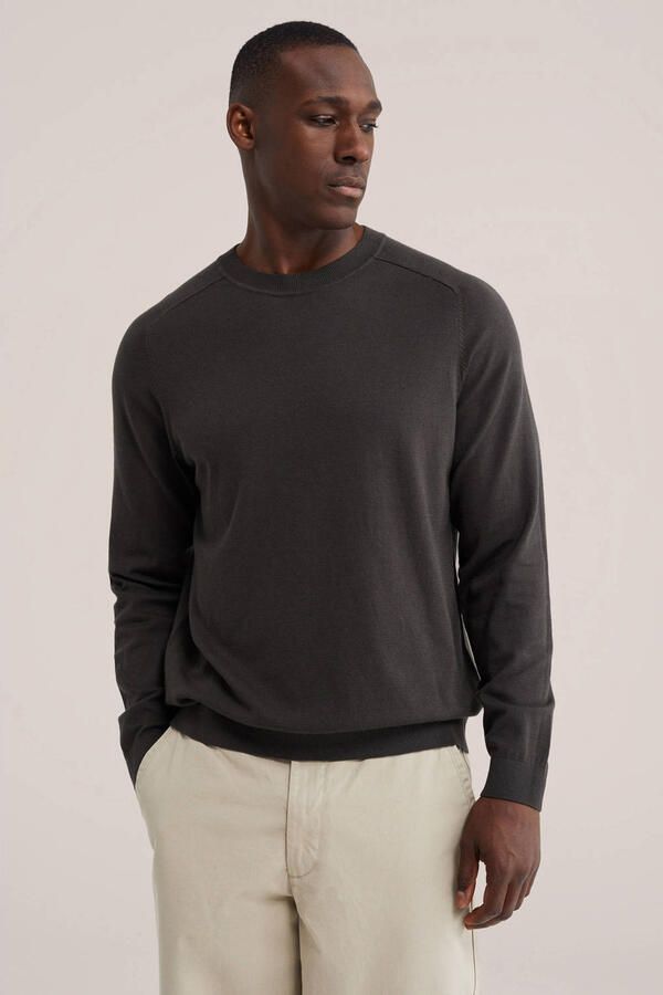 WE Fashion regular fit gebreide trui bruin