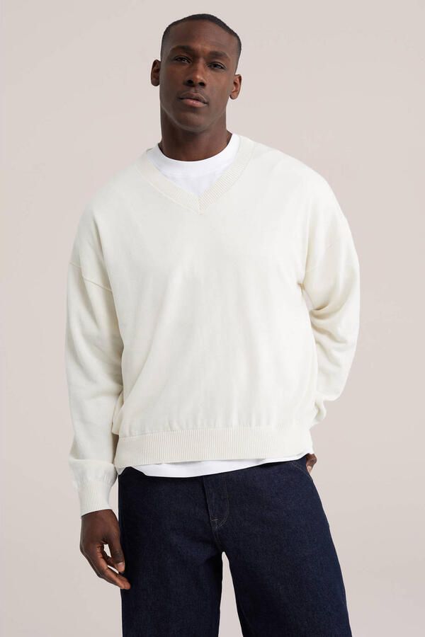 WE Fashion regular fit gebreide trui ecru