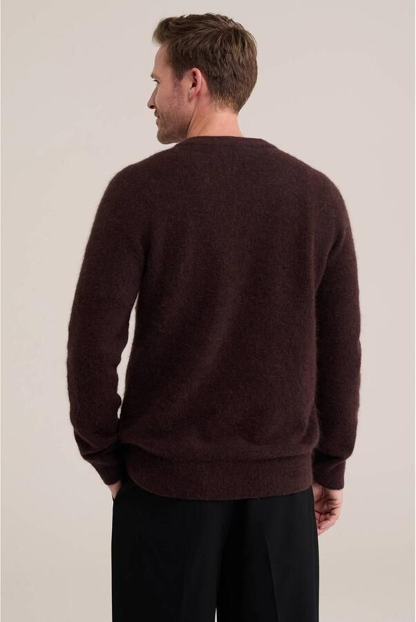 WE Fashion regular fit gebreide trui met wol deep brown - Foto 3