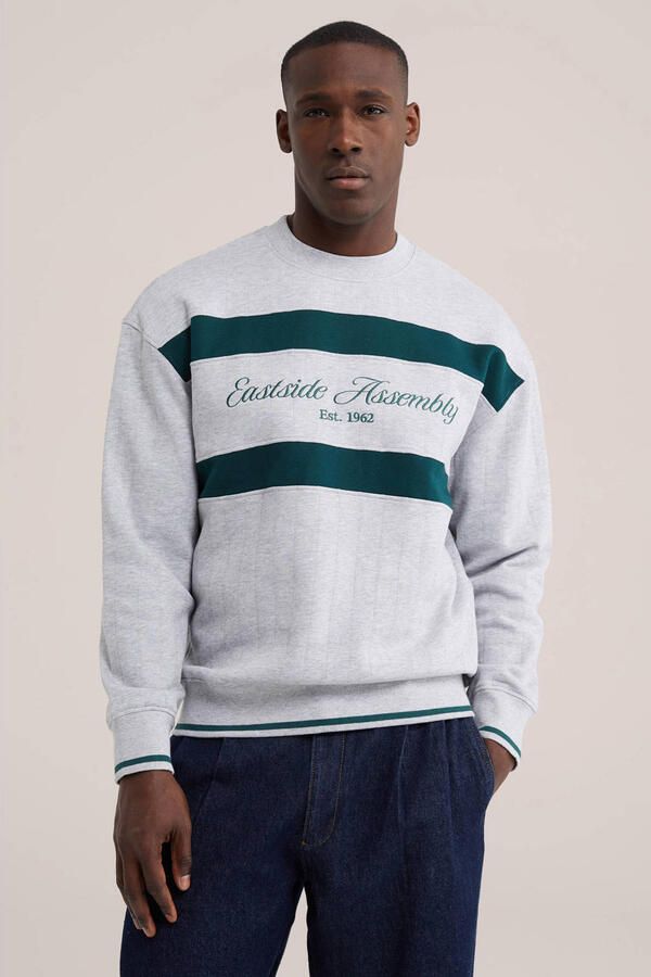 WE Fashion regular fit gestreepte sweater met borduursels lichtgrijs