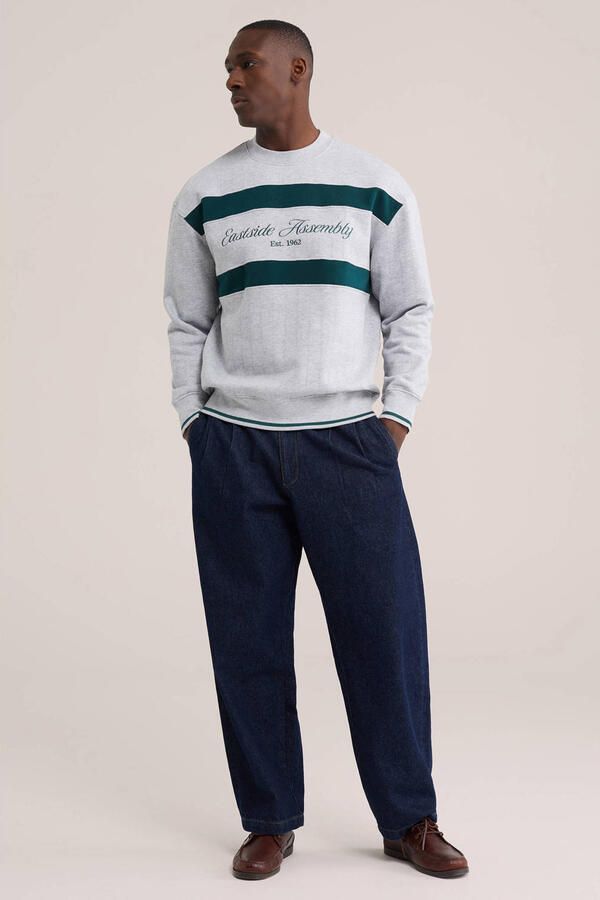 WE Fashion regular fit gestreepte sweater met borduursels lichtgrijs - Foto 2