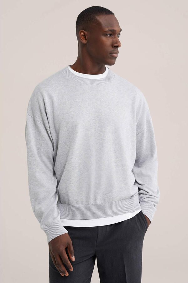 WE Fashion regular fit sweater lichtgrijs