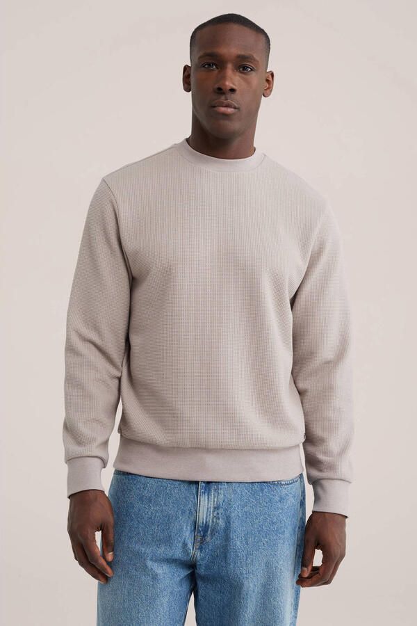 WE Fashion regular fit sweater met wafelstructuur kit