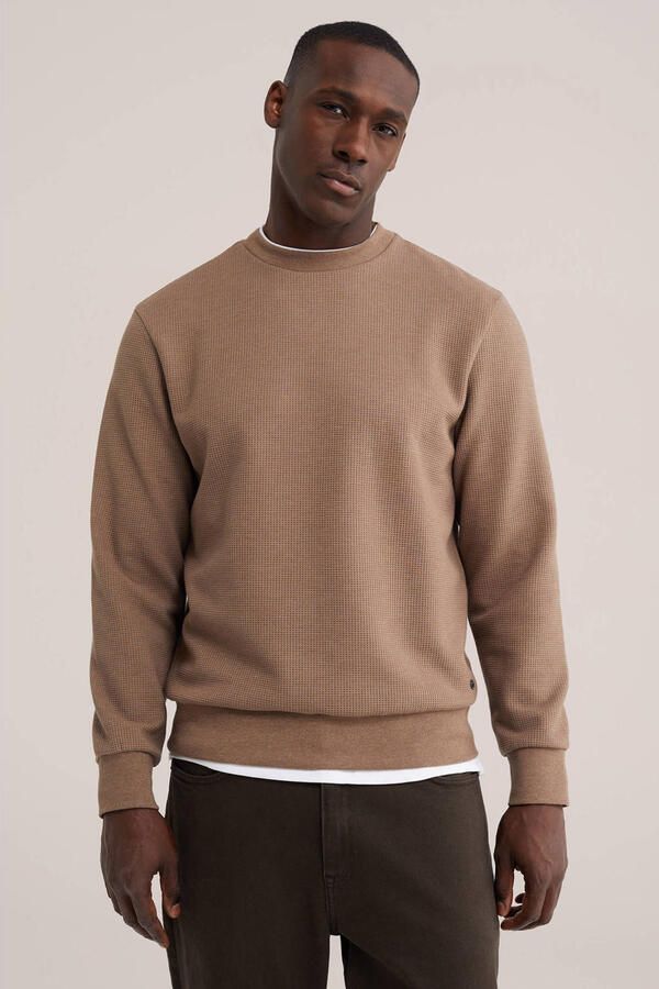 WE Fashion regular fit sweater met wafelstructuur lichtbruin