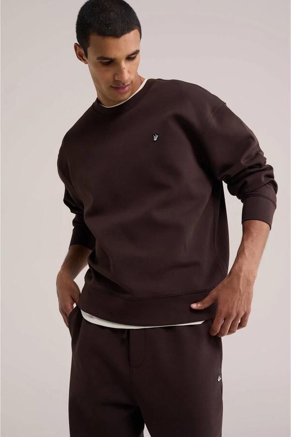 WE Fashion relaxed fit sweater met borduursels donkerbruin