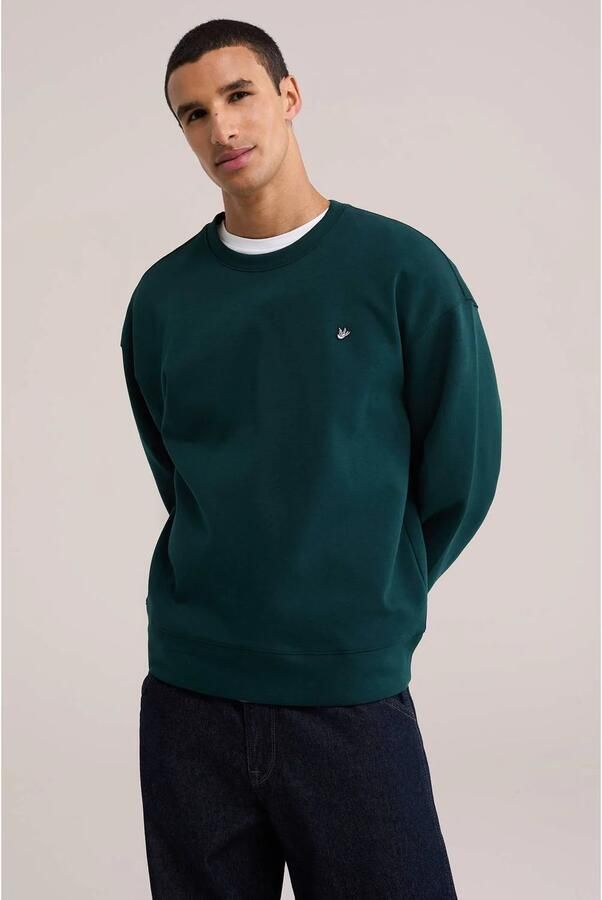 WE Fashion relaxed fit trui met borduursels donkergroen