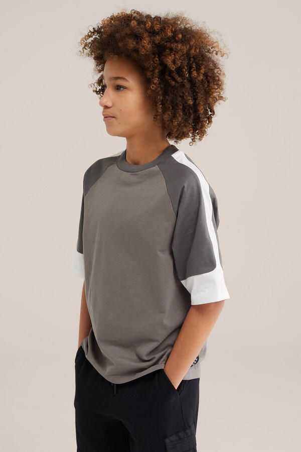WE Fashion Salty Dog T-shirt taupe
