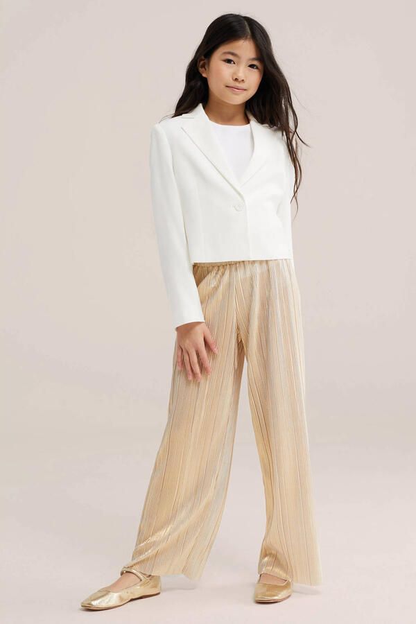 WE Fashion straight regular waist casual broek champagne