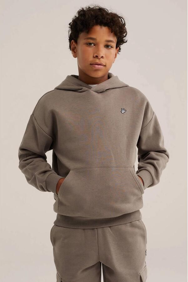 WE Fashion sweat hoodie taupe