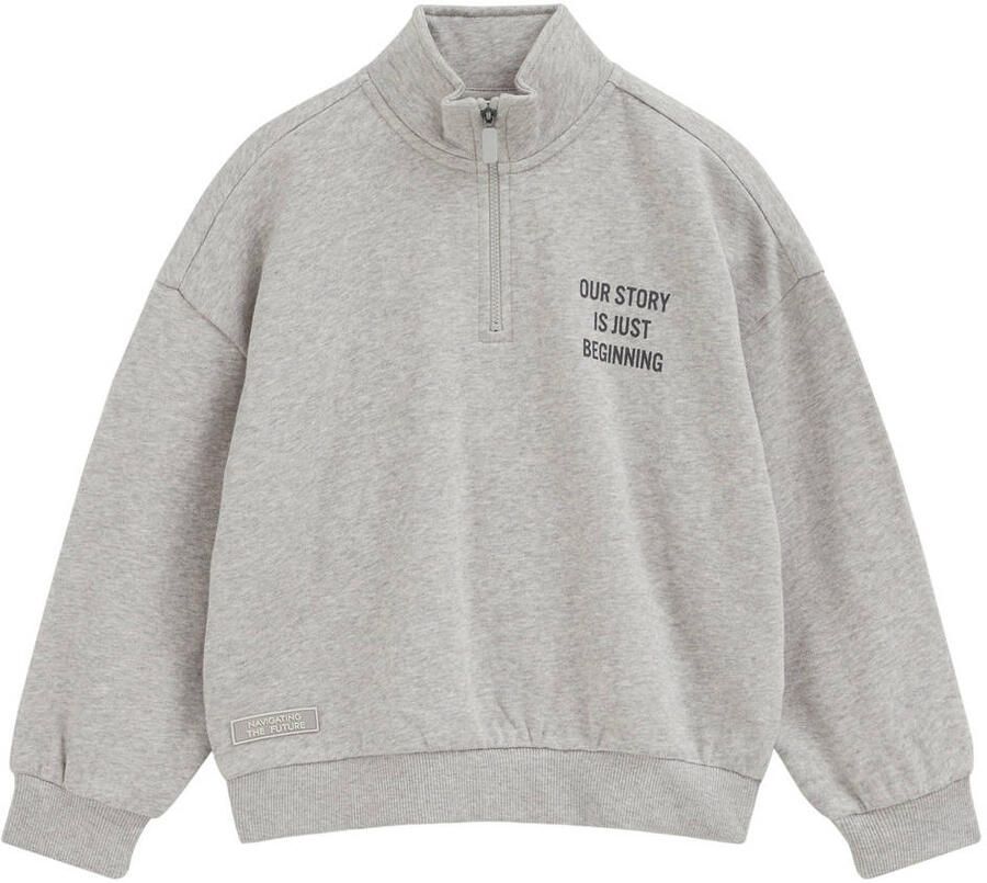WE Fashion sweat schipperstrui met backprint grijs