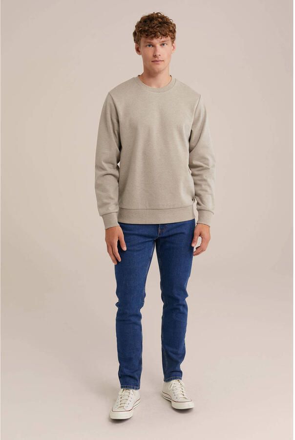 WE Fashion sweater beige