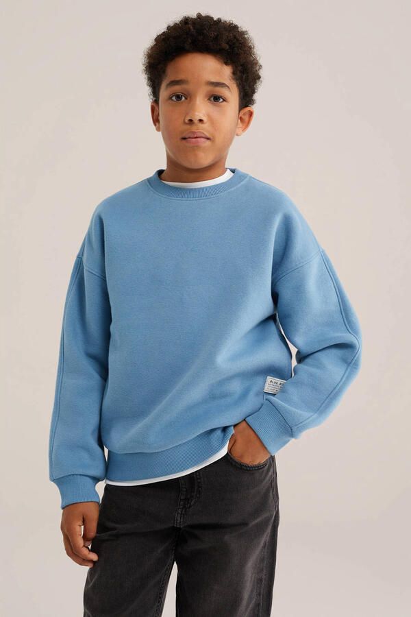 WE Fashion Blue Ridge sweater blauw