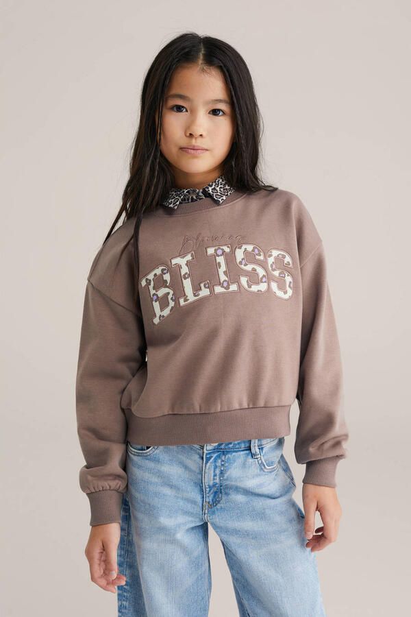 WE Fashion sweater bruin