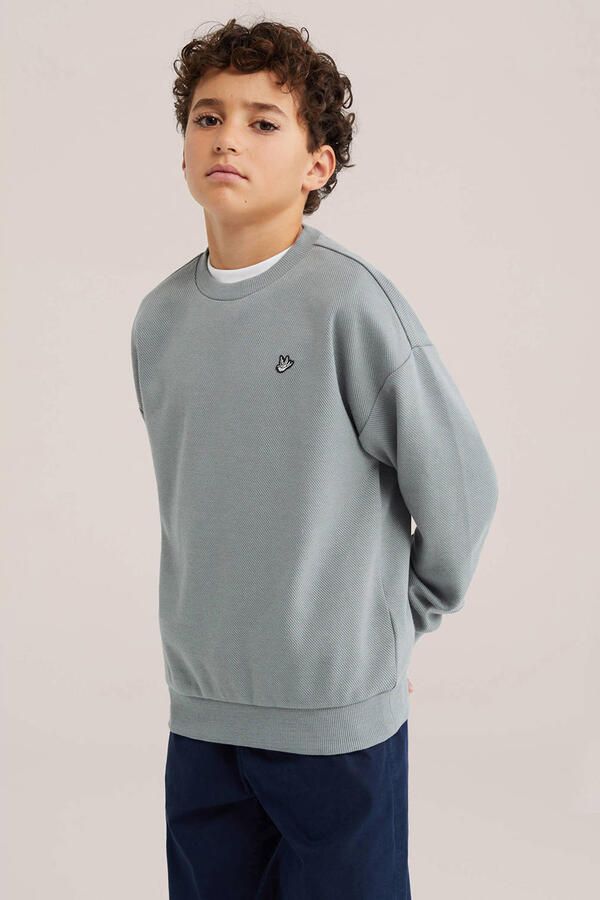 WE Fashion sweater grijs