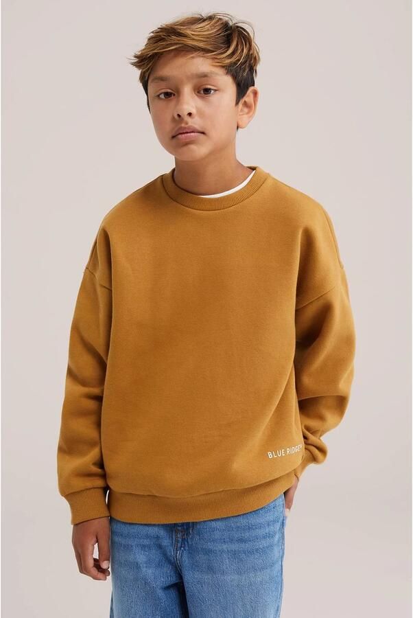 WE Fashion sweater met backprint camel Geel Backprint