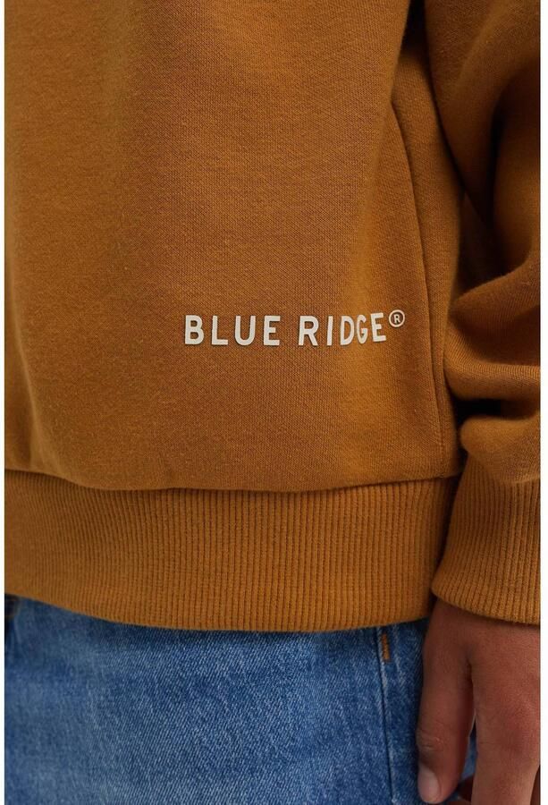 WE Fashion sweater met backprint camel Geel Backprint - Foto 2