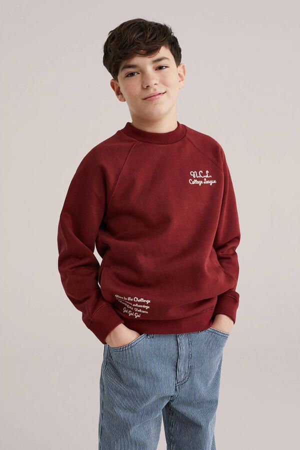 WE Fashion sweater met backprint donkerrood