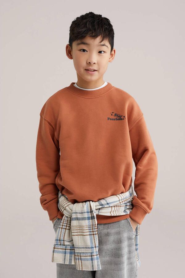 WE Fashion sweater met backprint roodbruin