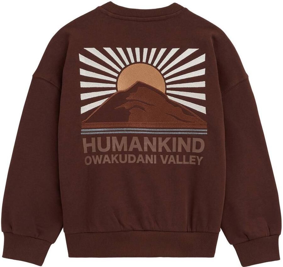 WE Fashion sweater met backprint roodbruin