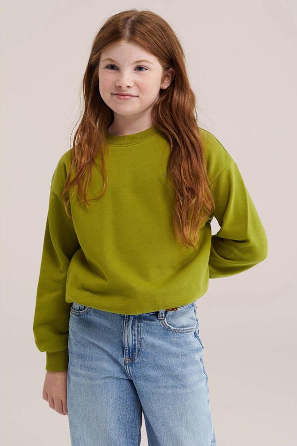 WE Fashion sweater olijfgroen