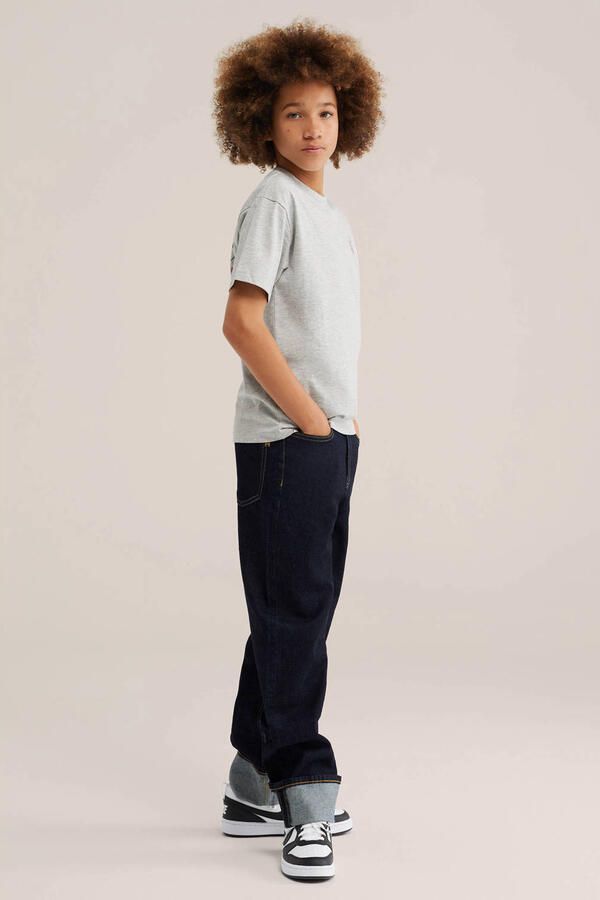 WE Fashion T-shirt met backprint lichtgrijs Jongens Katoen Ronde hals - Foto 3