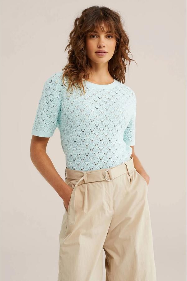 WE Fashion top lichtblauw gebreid
