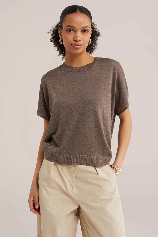 WE Fashion top met lurex bruin