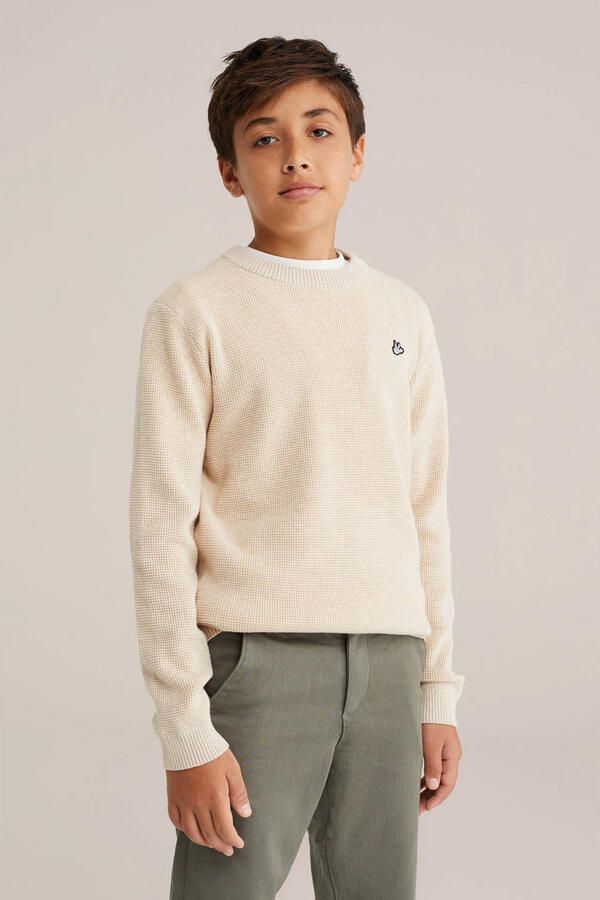 WE Fashion trui beige fijn gebreid