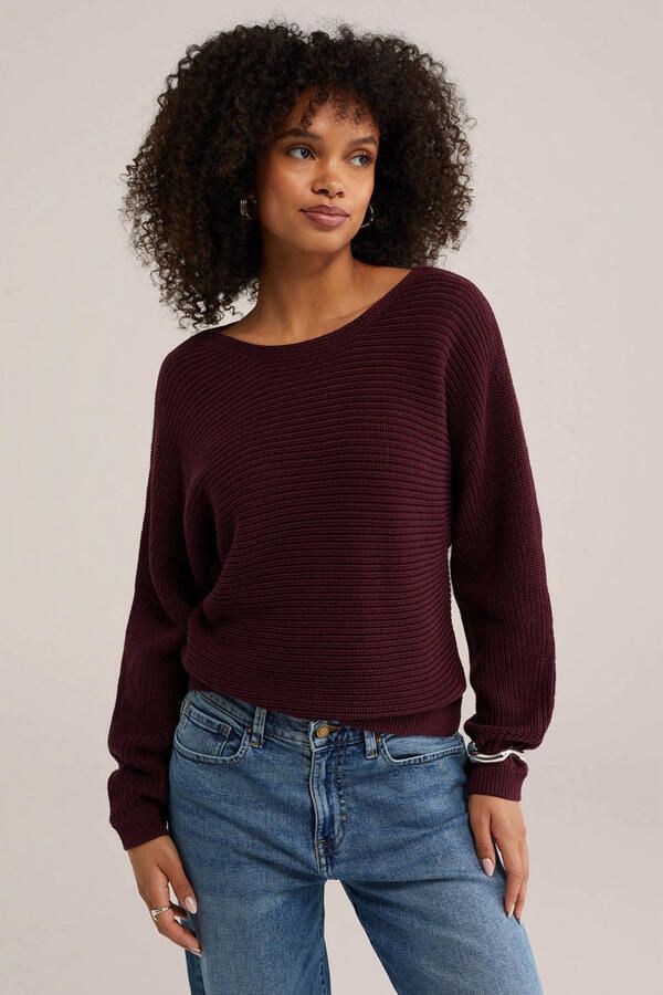WE Fashion trui donkerrood