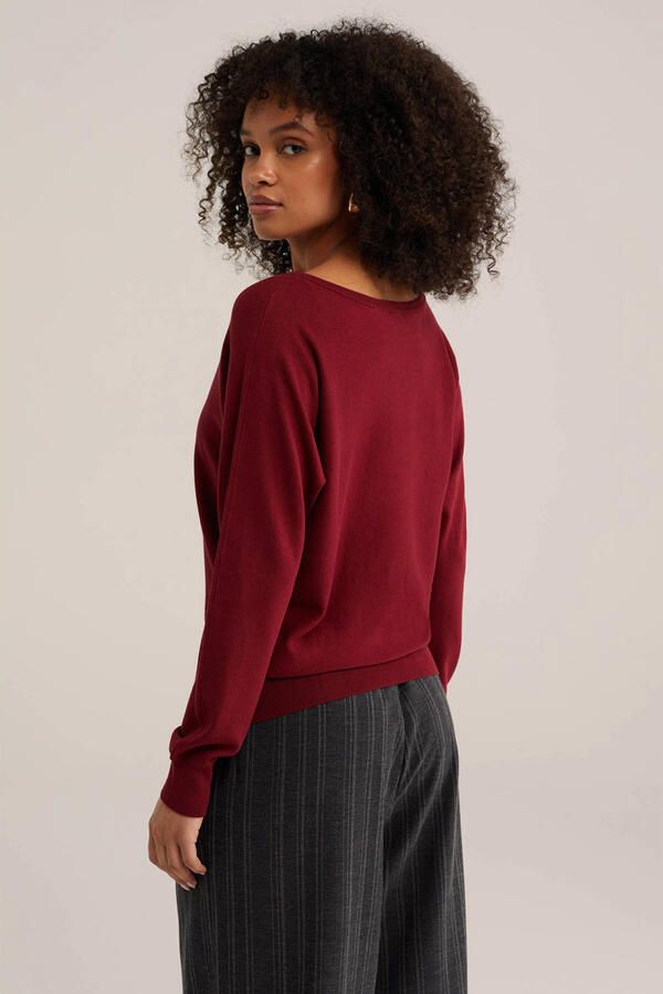 WE Fashion trui donkerrood - Foto 3