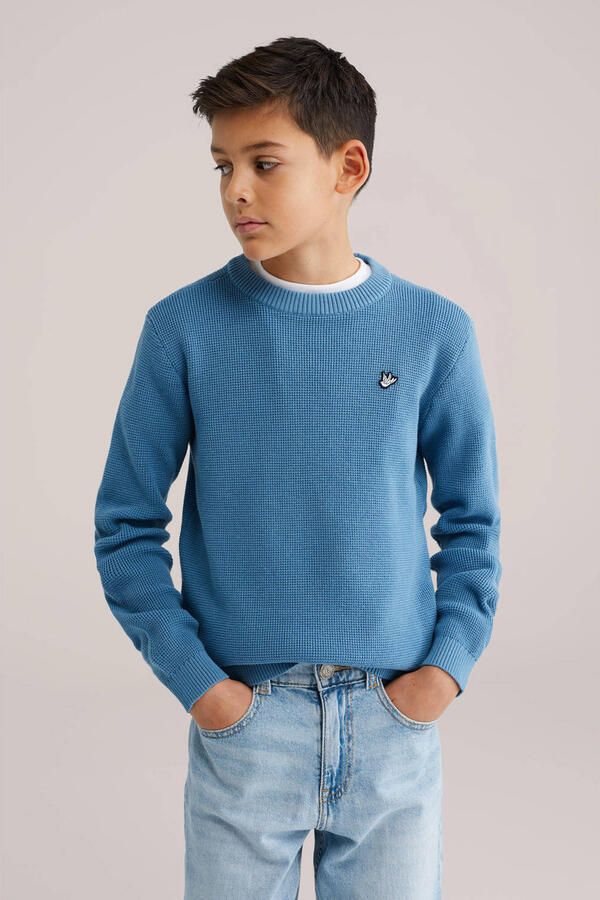 WE Fashion trui fijn gebreid blauw